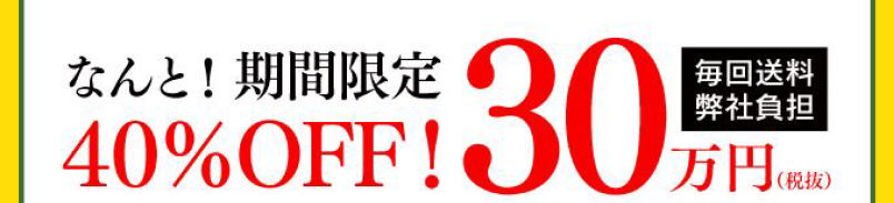 なんと！期間限定40％OFF！30万円（税抜）[毎回送料弊社負担]